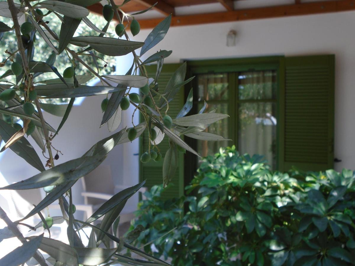 Leros Eleonas Apartments Alinda  Luaran gambar